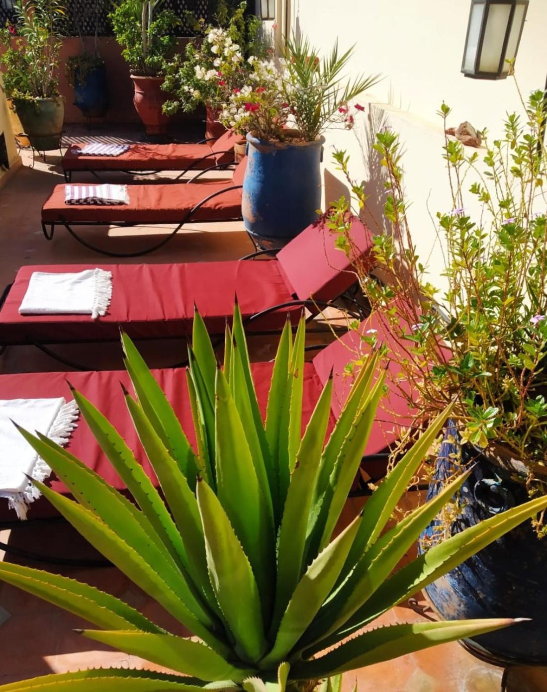 Riad Dar Zampa Marrakesh Extérieur photo